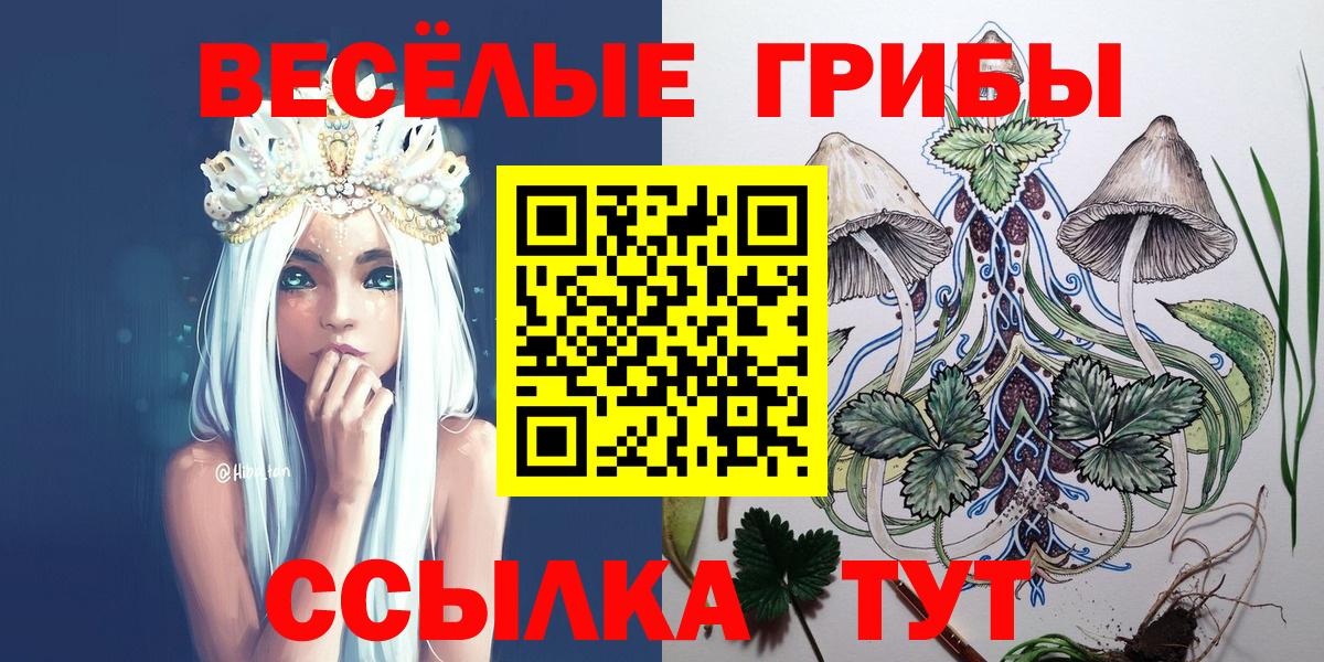 Псилоцибиновые грибы Cubensis Беслан