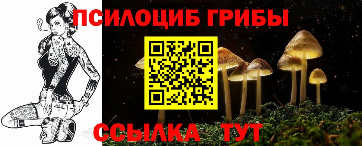 Беслан  Галлюциногенные грибы Psilocybine cubensis  Вход с VPN 